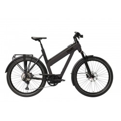 Qwic Atlas Track 2026 Heren