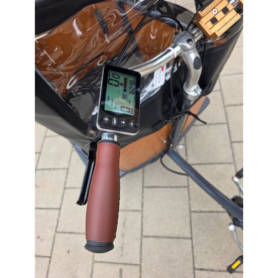 Elektrische Babboe Go hondenbakfiets met toebehoren