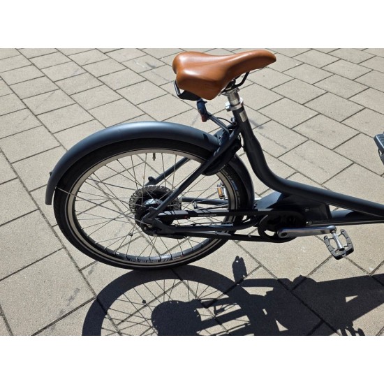 2dehands Babboe Curve Mountain Hondenbakfiets met Deurtje