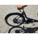 2dehands Babboe Curve Mountain Hondenbakfiets met Deurtje