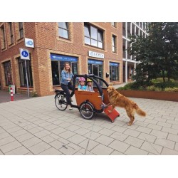 Babboe Dog-E bakfiets - Ideaal voor hondenliefhebbers!
