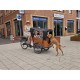 Elektrische Babboe Go hondenbakfiets met toebehoren