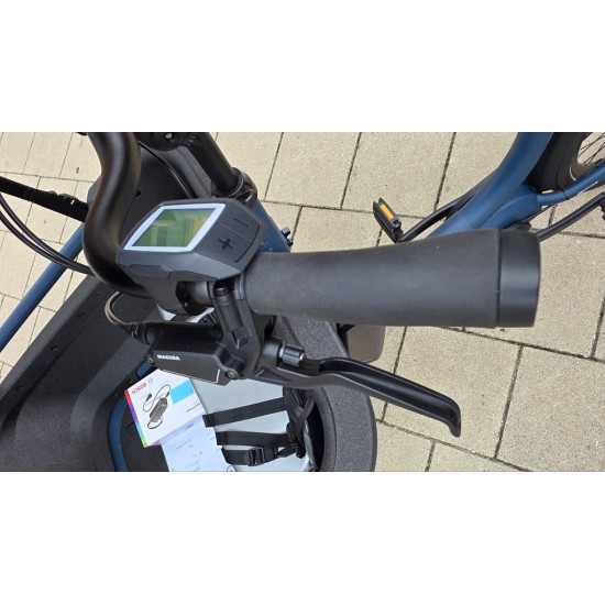 Winora Fub 2  bakfiets met Bosch Cargo line middenmotor