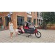 Niet elektrische Bakfiets(.)nl lang met Regentent - Niet Ele