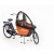 CargoBike Short: regentent zwart  + €229,00 