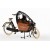 CargoBike Short: regentent all-open  + €275,00 