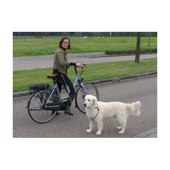 Bakfiets hondenbeugel met springveer