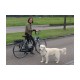 Bakfiets hondenbeugel met springveer