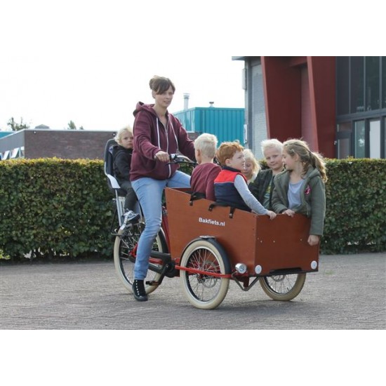 Bakfiets.nl CargoTrike Cruiser Wide