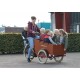 Bakfiets.nl CargoTrike Cruiser Wide