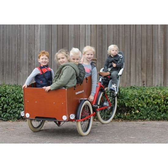 Bakfiets.nl CargoTrike Cruiser Wide