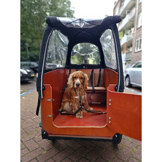 Dubbele hondenriemen gordel geschikt voor alle modellen bakfietsen Verstelbaar 40 Tot 60 cm