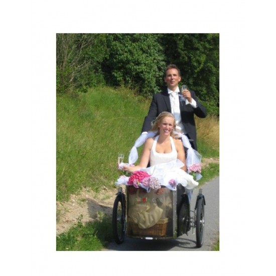 Nihola Family E-bakfiets, geschikt voor 2 kinderen